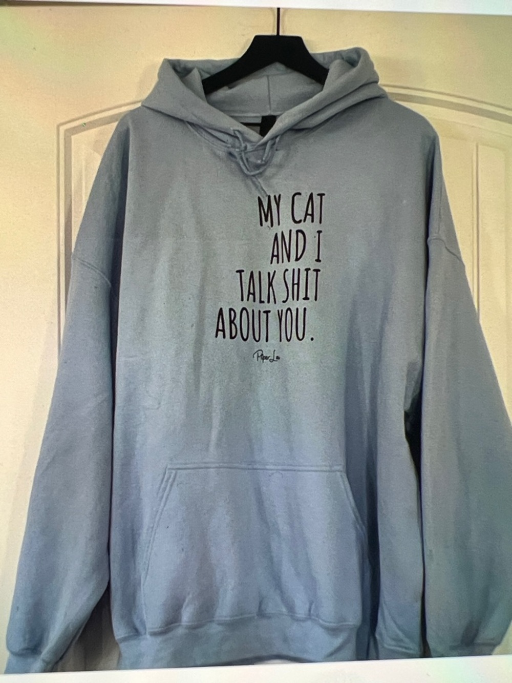 My Cat & I Talk Shit About You Hoodie Size 3XL